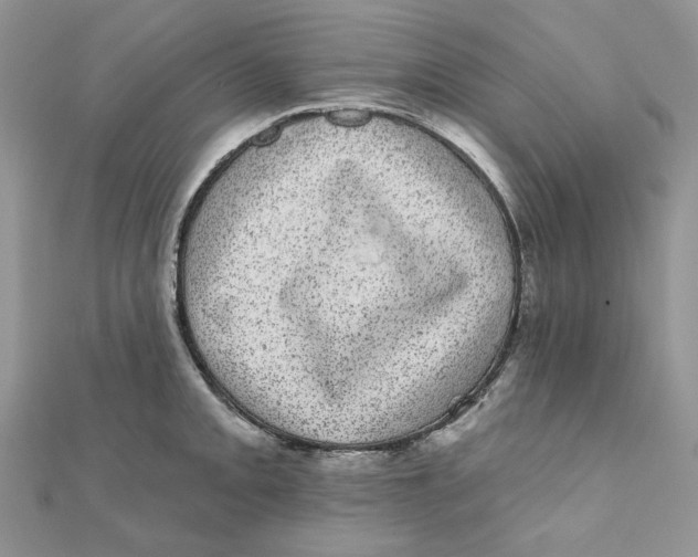 X0000111871093200908131606