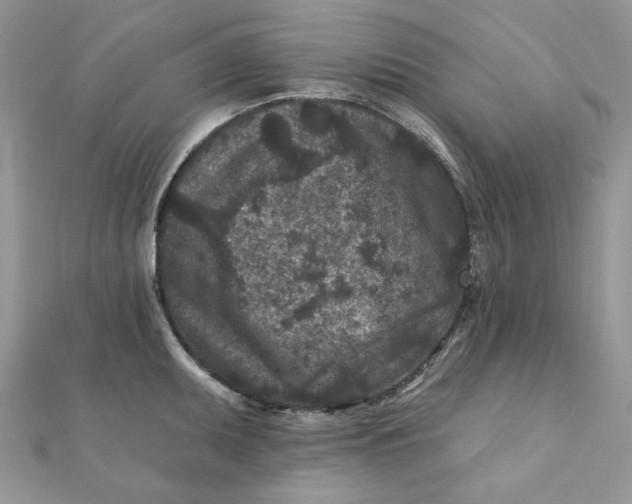 X0000111871095200908131606