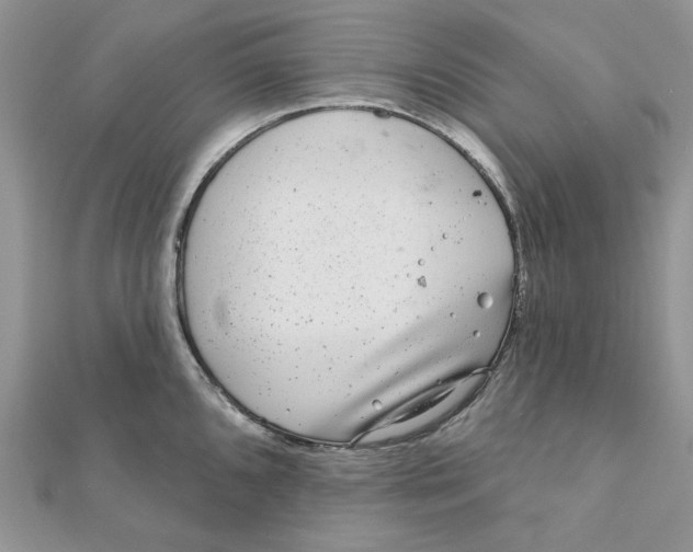 X0000111871096200908131606