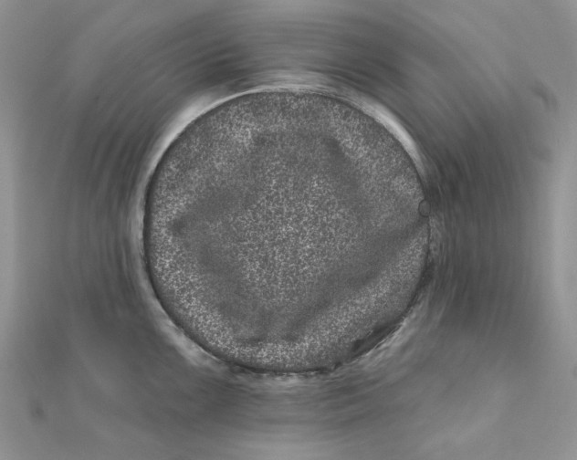 X0000111871099200908131606