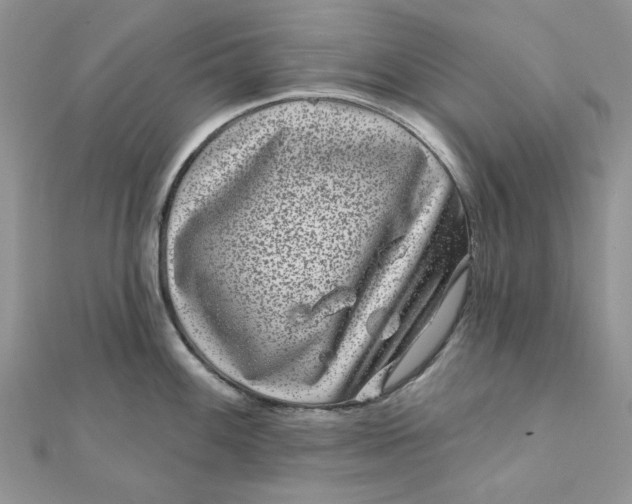 X0000111871100200908131606