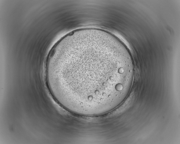 X0000111871101200908131606