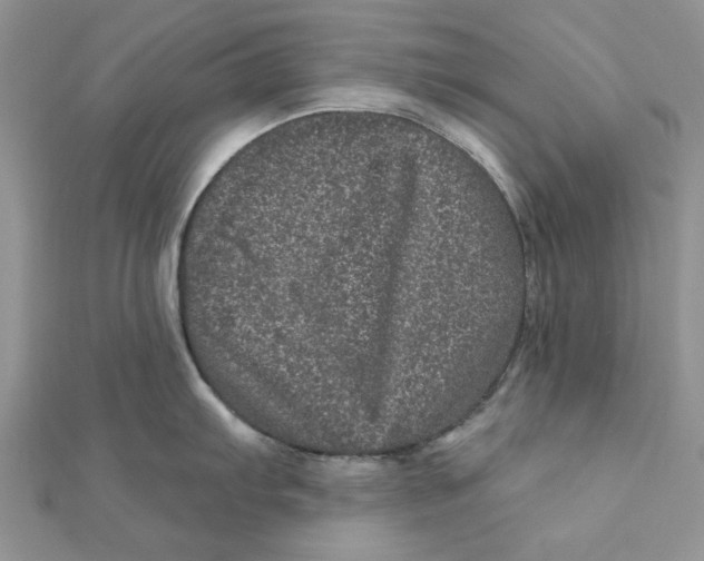 X0000111871103200908131606