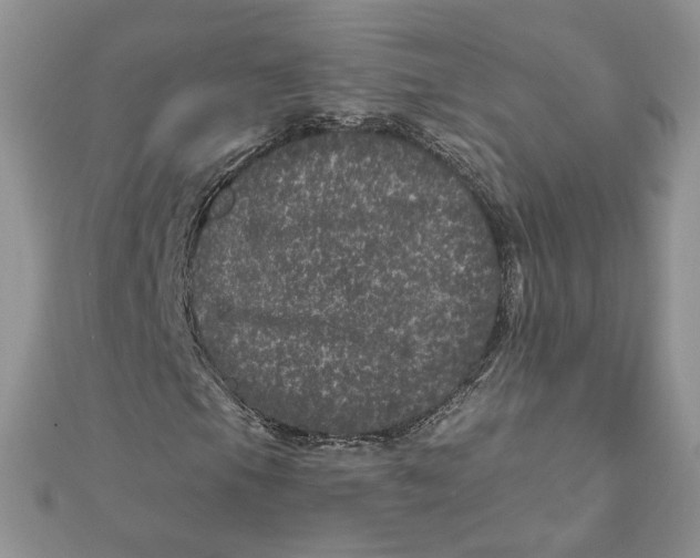 X0000111871105200908131606