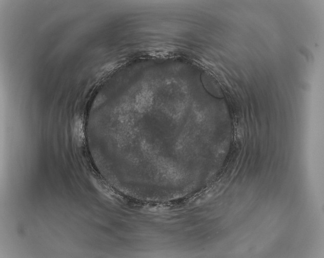 X0000111871106200908131606