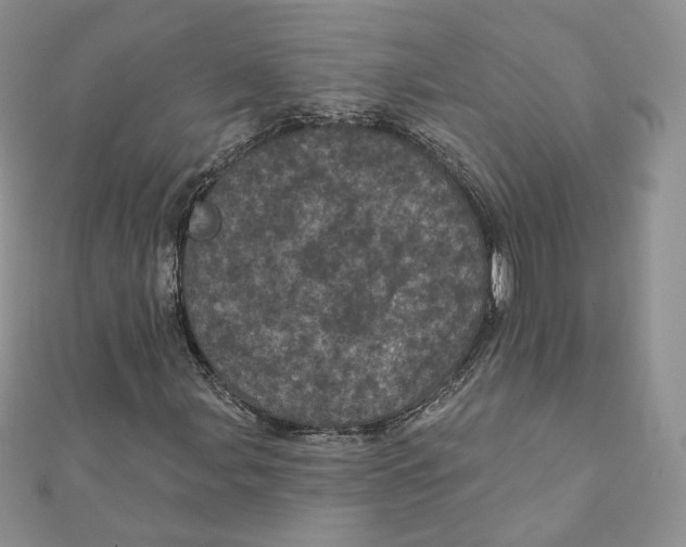 X0000111871107200908131606