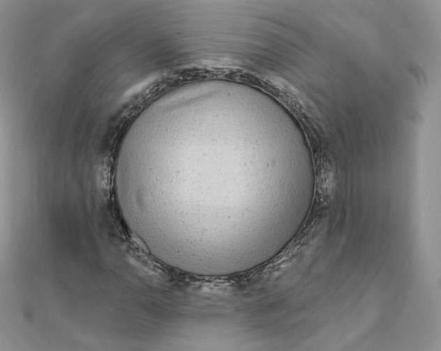 X0000111871110200908131606