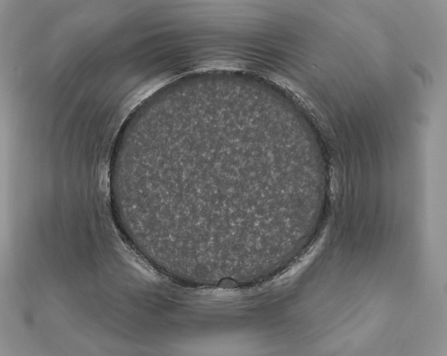 X0000111871113200908131606