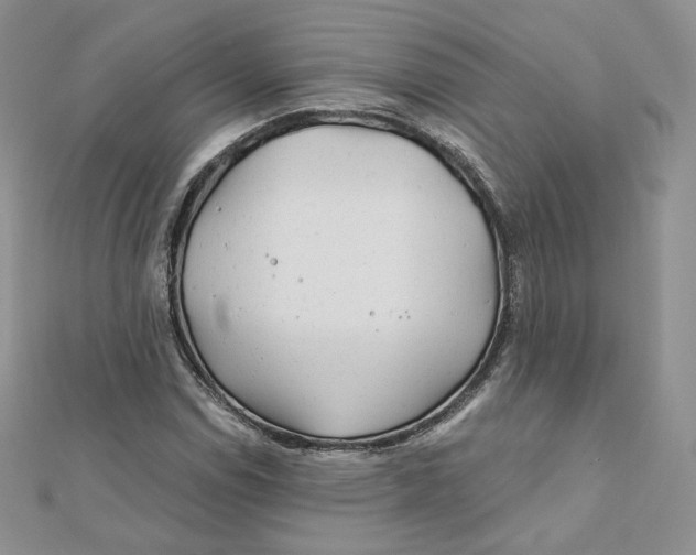 X0000111871114200908131606