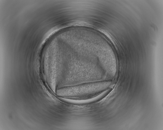 X0000111871115200908131606