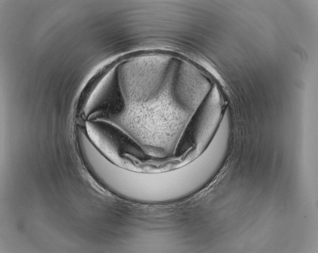 X0000111871116200908131606