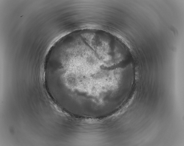 X0000111871117200908131606