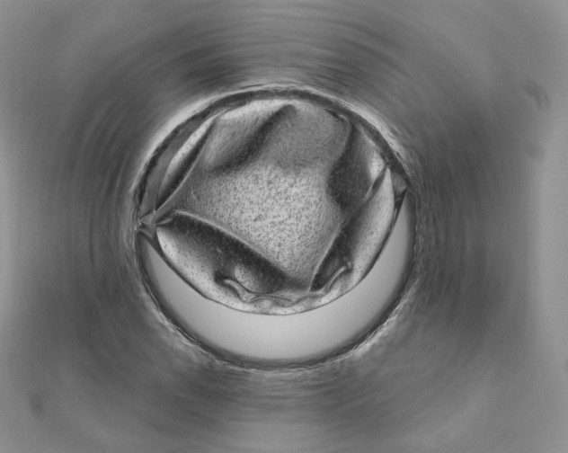 X0000111871118200908131606