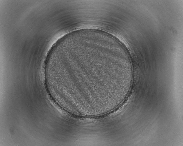 X0000111871119200908131606