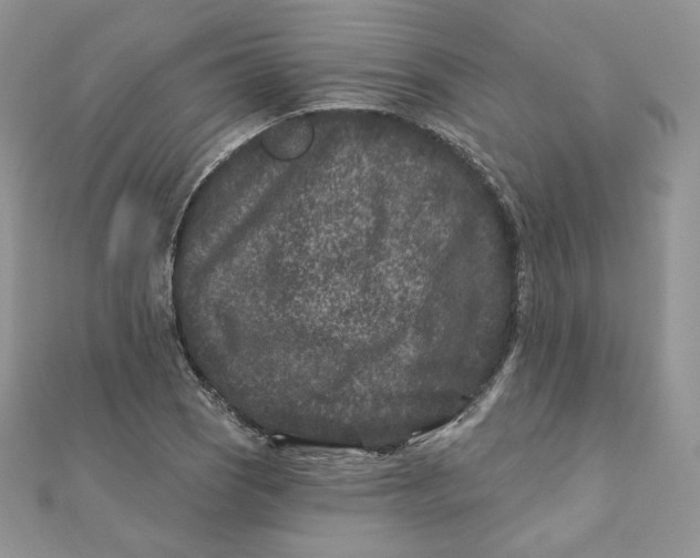 X0000111871121200908131606