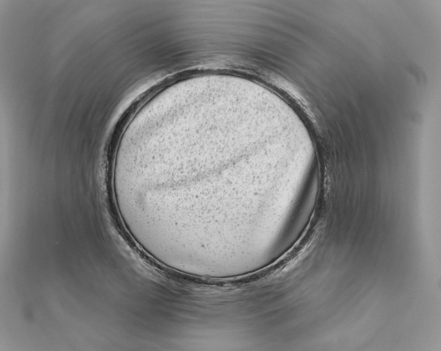 X0000111871122200908131606