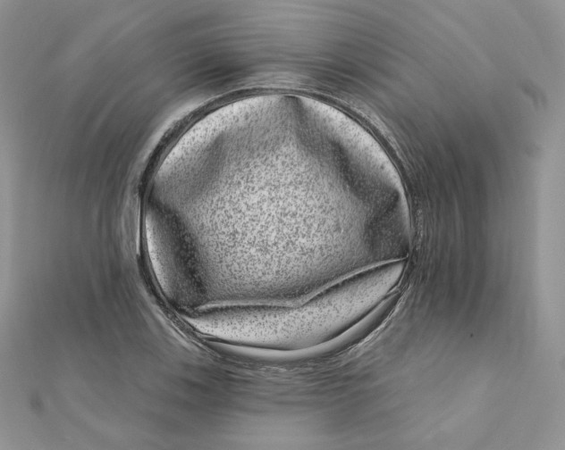 X0000111871123200908131606