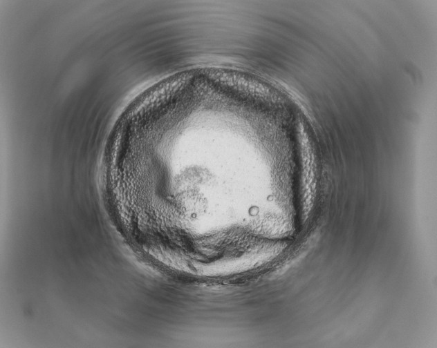 X0000111871125200908131606