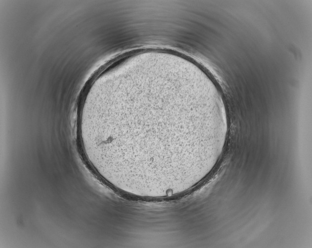 X0000111871126200908131606