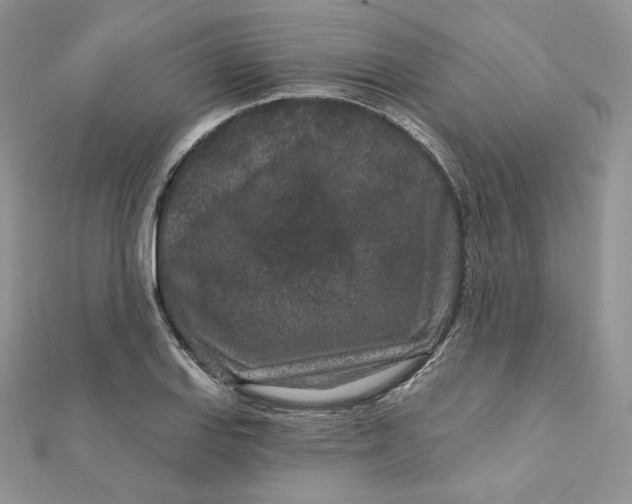 X0000111871127200908131606