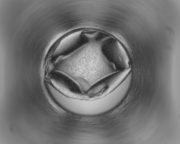 X0000111871128200908131606