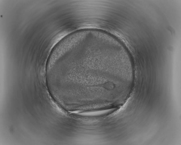 X0000111871129200908131606