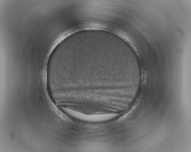 X0000111871130200908131606