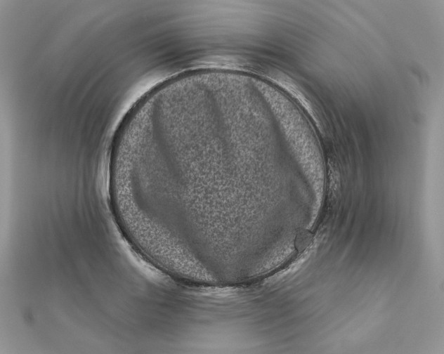 X0000111871131200908131606