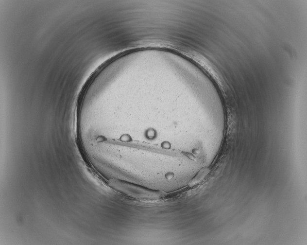 X0000111871132200908131606