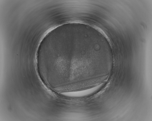 X0000111871133200908131606