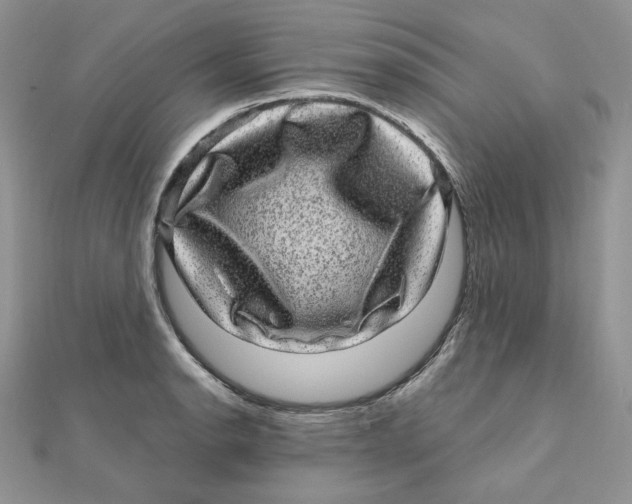 X0000111871134200908131606