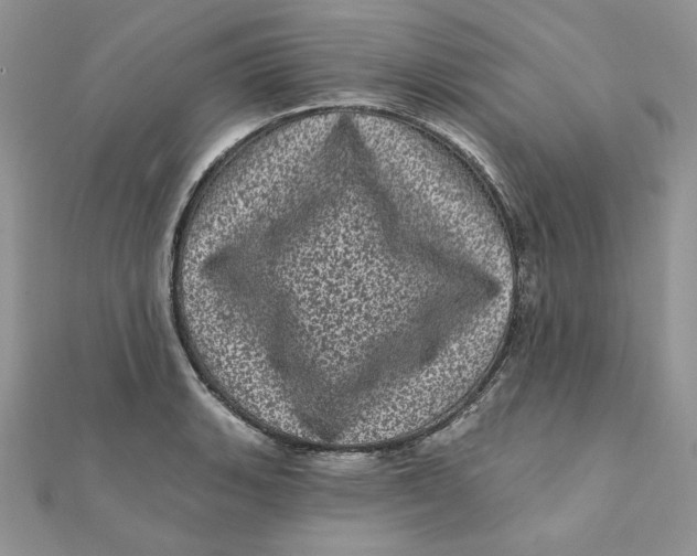 X0000111871135200908131606