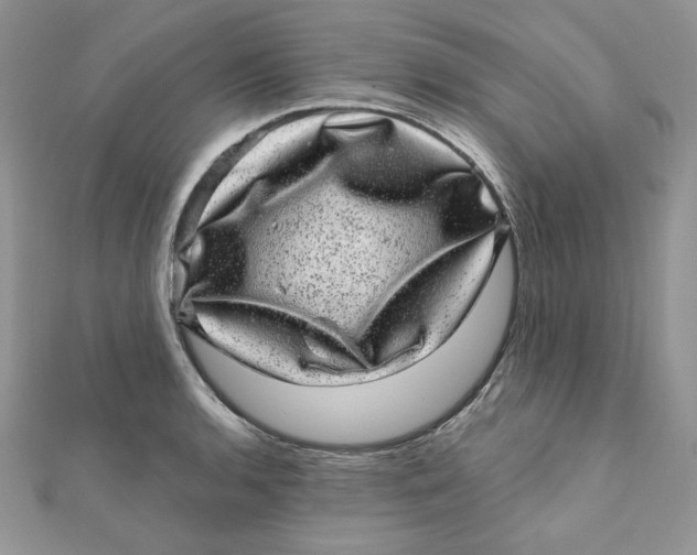 X0000111871136200908131606