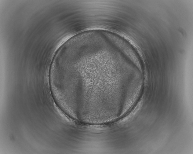 X0000111871137200908131606