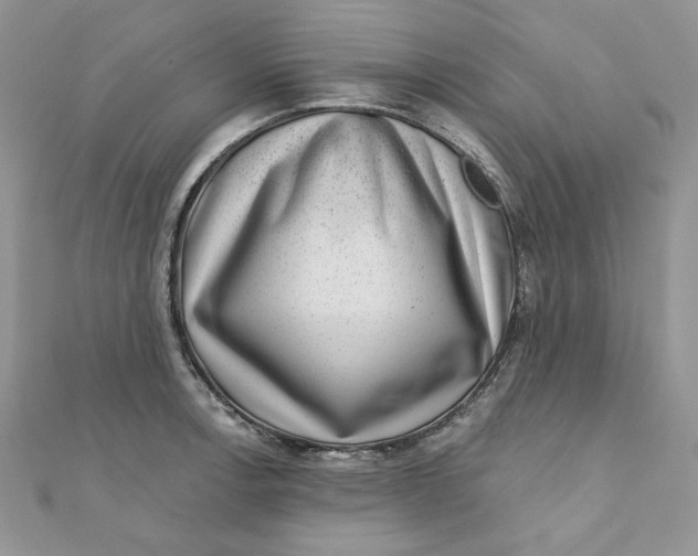 X0000111871138200908131606