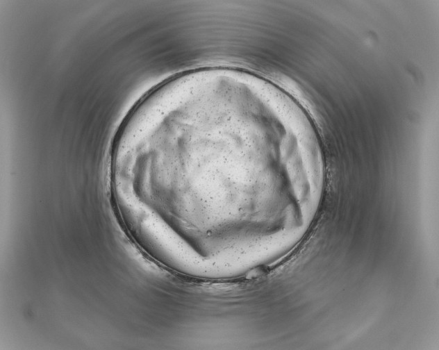 X0000111871140200908131606