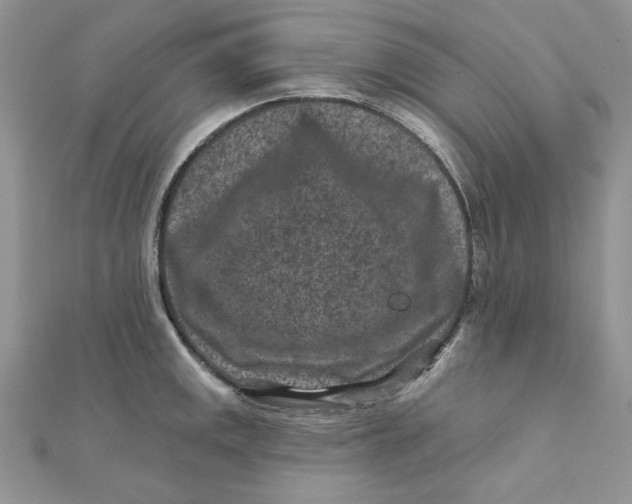 X0000111871141200908131606