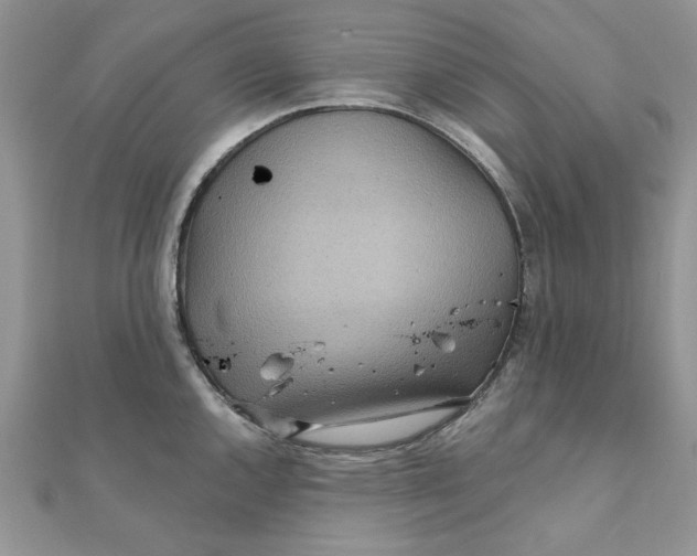 X0000111871144200908131606