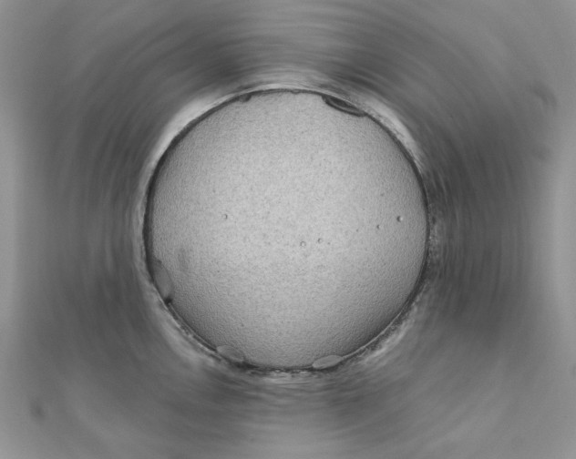 X0000111871146200908131606