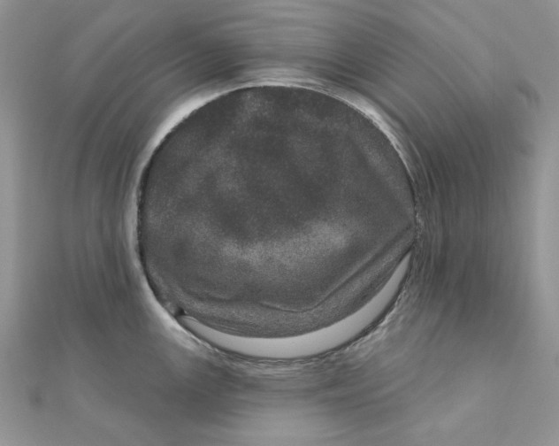 X0000111871147200908131606