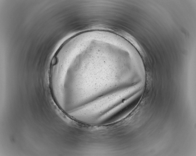 X0000111871148200908131606