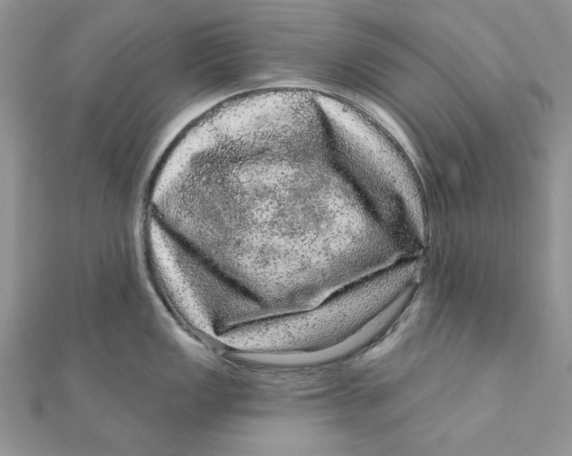 X0000111871149200908131606