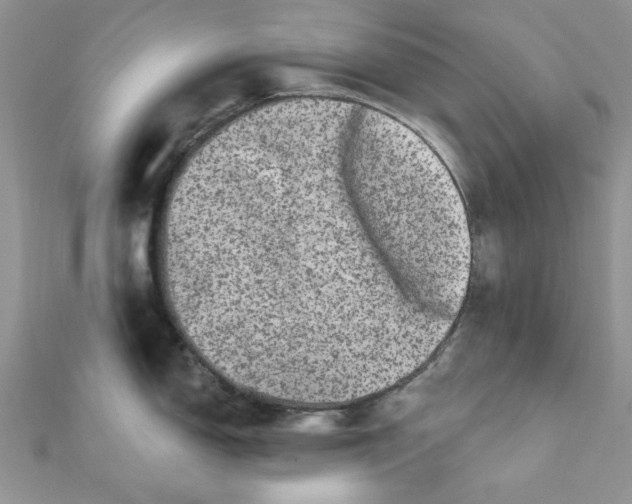 X0000111871150200908131606