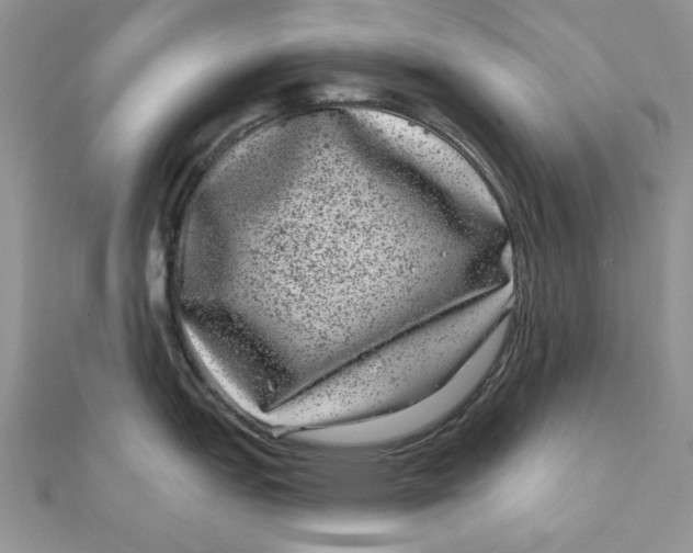 X0000111871151200908131606