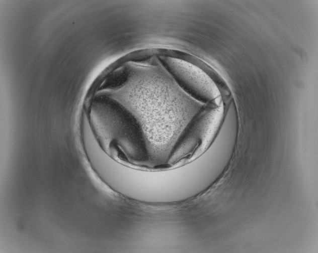 X0000111871152200908131606