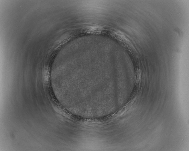 X0000111871154200908131606