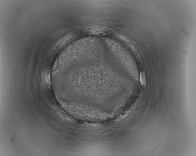 X0000111871155200908131606