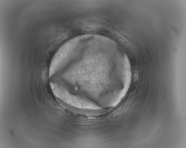 X0000111871156200908131606