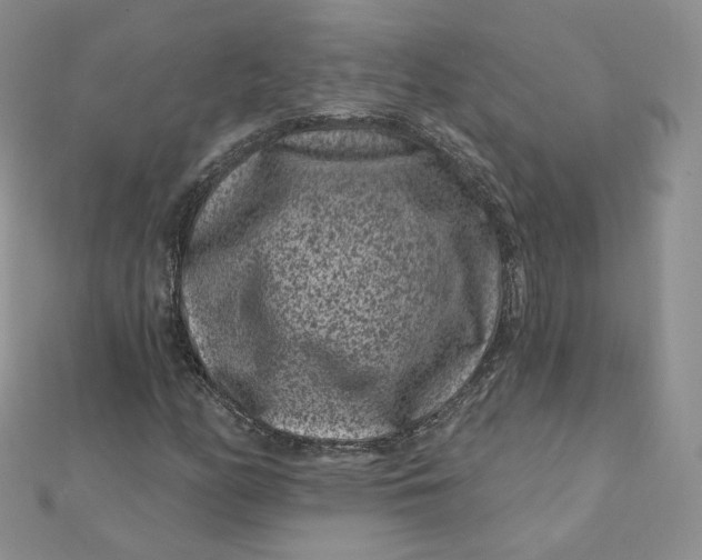 X0000111871158200908131605