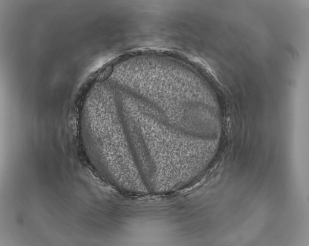 X0000111871159200908131605